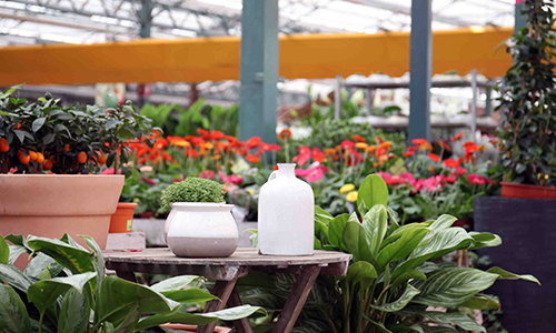 Er bloeit iets moois tussen Tuincentrum Oosterik en AKAM. 